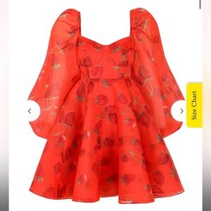 Selkie Strawberry Princess Dress (size 4xl) brand new with tags, never worn